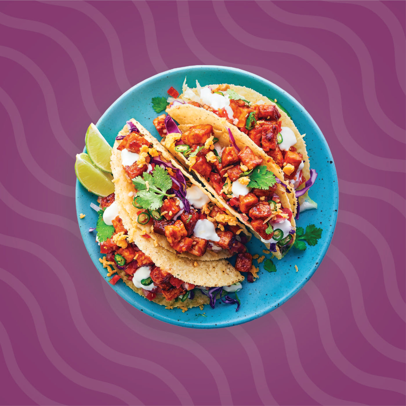 Buy Tempeh Tacos online at best Price | Hello Tempayy