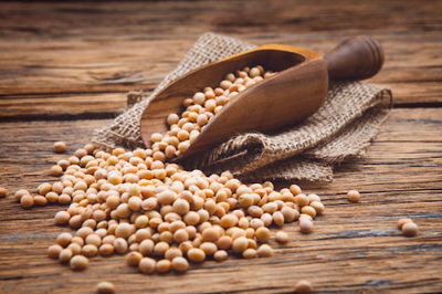 A Guide to Foods Rich in Soy