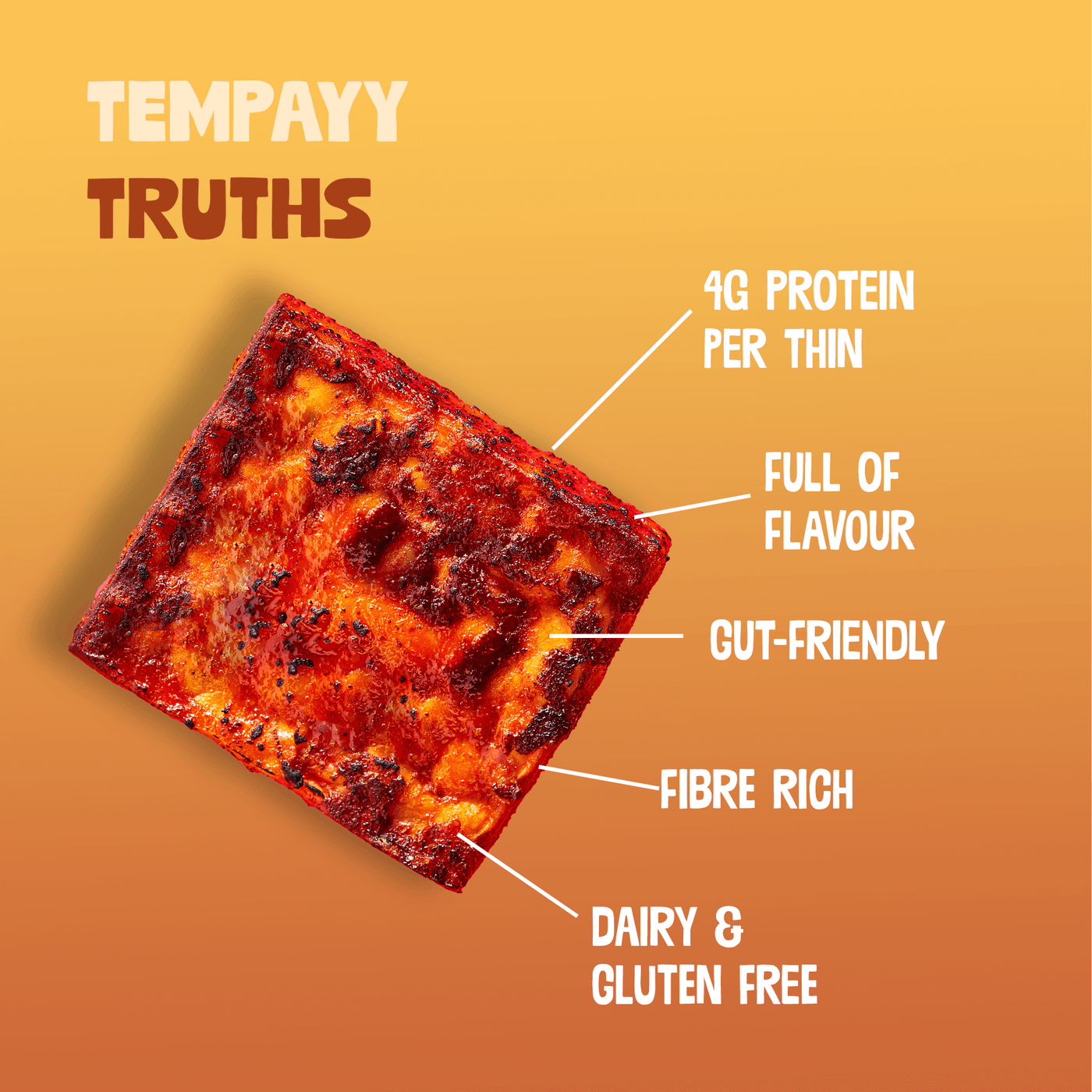 Spice Fix-Tempeh Combo | Pack of 4