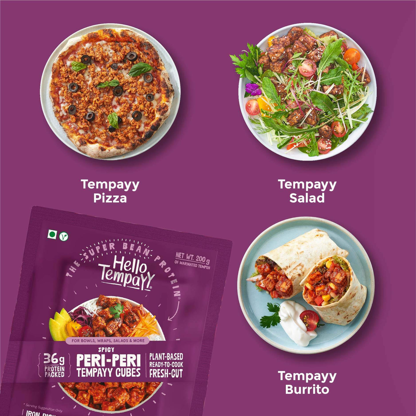 Flavour Blast-Tempeh Combo | Pack of 5