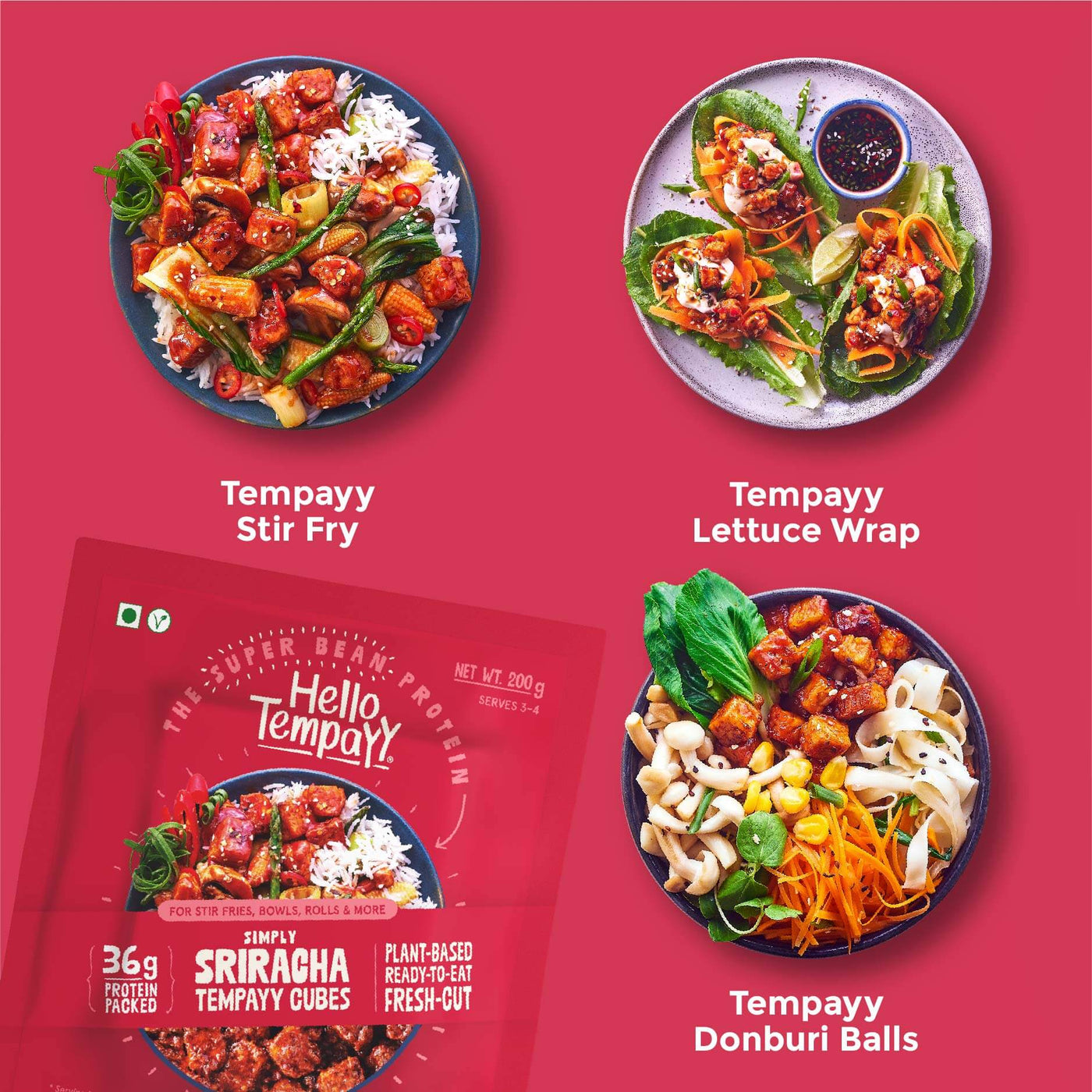 Around the World-Tempeh Combo | Pack of 3